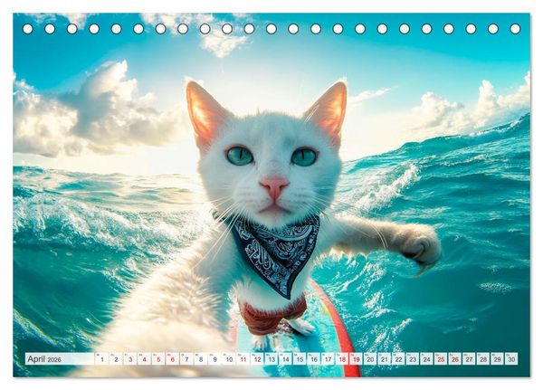 Produktbild: KATZEN-SELFIES Tierische Reiselust (Tischkalender 2026 DIN A5 quer), CALVENDO Monatskalender