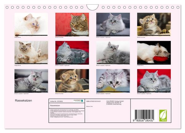 Produktbild: Rassekatzen (Wandkalender 2026 DIN A4 quer), CALVENDO Monatskalender