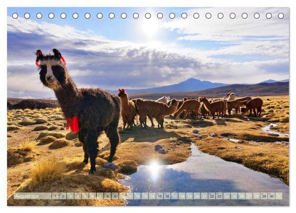 Produktbild: Entdecke Bolivien (Tischkalender 2026 DIN A5 quer), CALVENDO Monatskalender