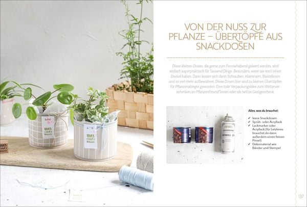Produktbild: Die kreative Welt von Mrs. Greenhouse