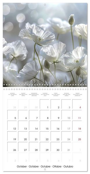 Produktbild: Magical Poppies (Wall Calendar 2026 12 &times; 12 Inch) CALVENDO 12 Month Wall Calendar