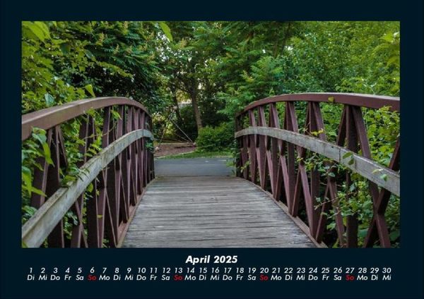 Produktbild: B&auml;ume 2025 Fotokalender DIN A4