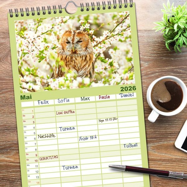 Produktbild: Familienplaner 2026 - V&ouml;gel in unserer Heimat: Kiebitz, Wiedehopf und Turteltaube mit 5 Spalten (Wandkalender, 21 x 45 cm) CALVENDO