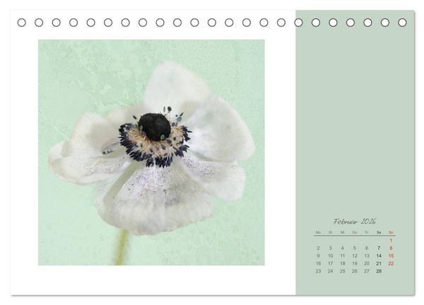 Produktbild: Bl&uuml;tentr&auml;ume (Tischkalender 2026 DIN A5 quer), CALVENDO Monatskalender