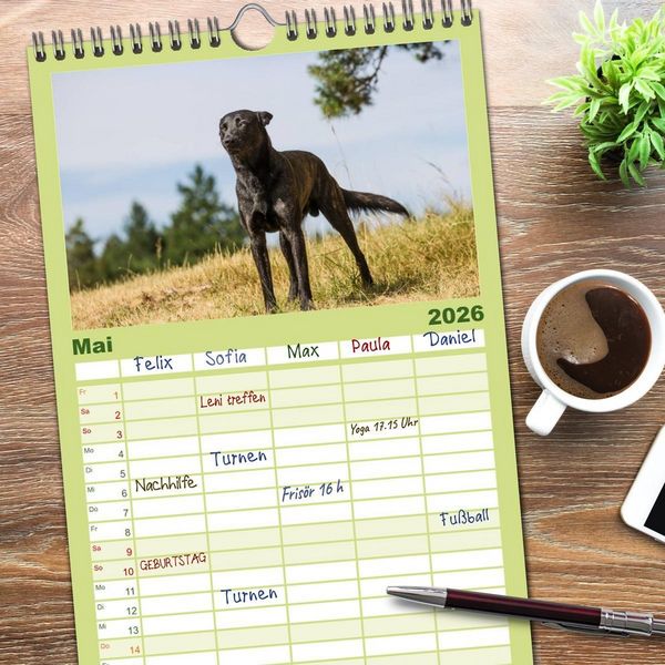 Produktbild: Familienplaner 2026 - ausdrucksvolle Holl&auml;ndische Sch&auml;ferhunde mit 5 Spalten (Wandkalender, 21 x 45 cm) CALVENDO
