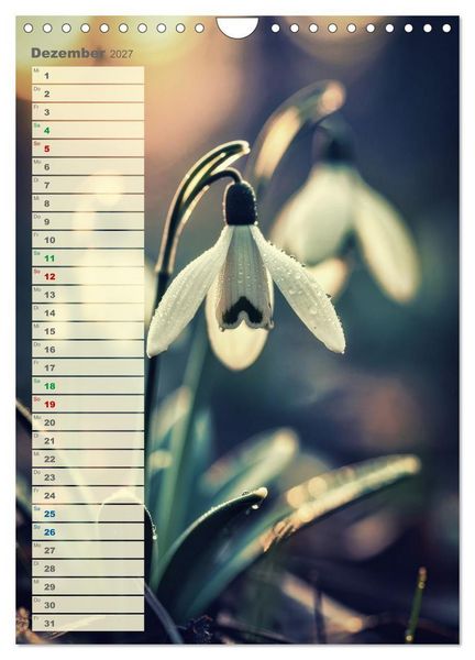 Produktbild: D&uuml;nen und Buhnen (Wandkalender 2027 DIN A4 hoch), CALVENDO Monatskalender