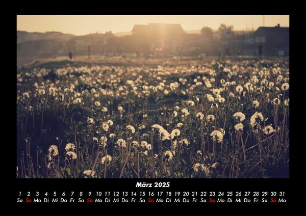 Produktbild: Bilder der Natur 2025 Fotokalender DIN A3
