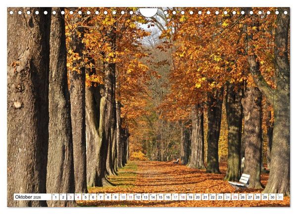 Produktbild: Wege gehen... (Wandkalender 2026 DIN A4 quer), CALVENDO Monatskalender