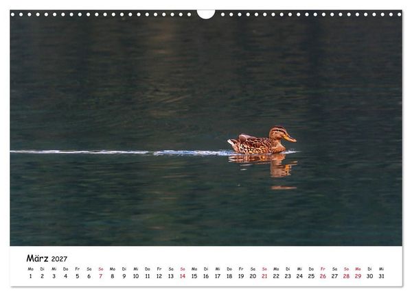 Produktbild: Wanderbarer Wei&szlig;ensee (Wandkalender 2027 DIN A3 quer), CALVENDO Monatskalender