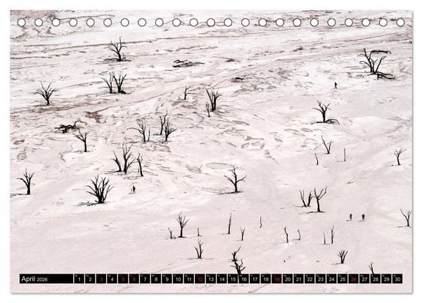 Produktbild: S&uuml;dliches Afrika - Vom Kap bis zu den Victoria F&auml;llen (Tischkalender 2026 DIN A5 quer), CALVENDO Monatskalender