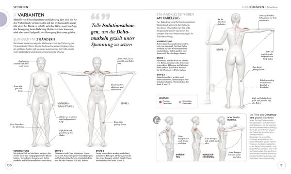 Krafttraining – Die Anatomie verstehen