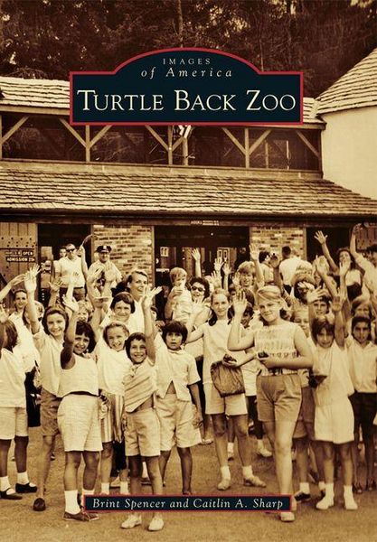 Produktbild: Turtle Back Zoo