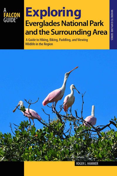 Produktbild: Hammer, R: Exploring Everglades National Park and the Surrou