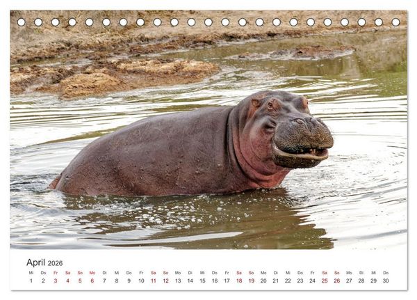 Produktbild: Tier Portraits Tansania (Tischkalender 2026 DIN A5 quer), CALVENDO Monatskalender