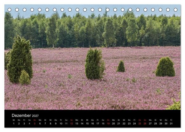 Produktbild: L&uuml;neburger Heide (Tischkalender 2027 DIN A5 quer), CALVENDO Monatskalender