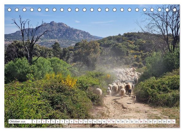 Produktbild: Camino Levante - magische Momente auf stillen Wegen (Tischkalender 2026 DIN A5 quer), CALVENDO Monatskalender