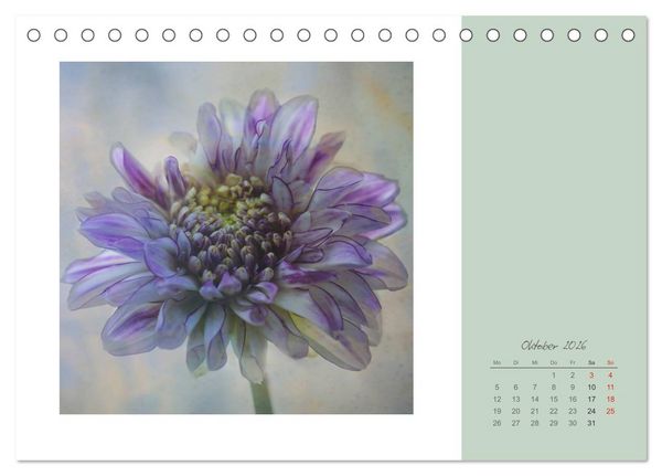 Produktbild: Bl&uuml;tentr&auml;ume (Tischkalender 2026 DIN A5 quer), CALVENDO Monatskalender