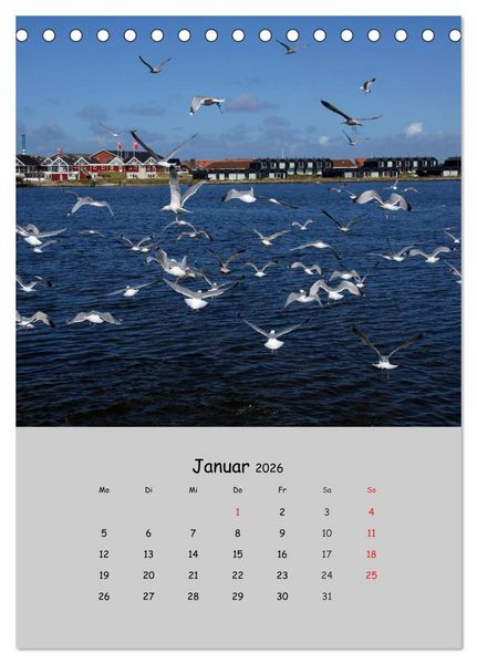 Produktbild: D&auml;nemarks Westk&uuml;ste 2026 (Tischkalender 2026 DIN A5 hoch), CALVENDO Monatskalender
