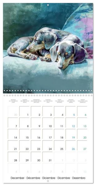 Produktbild: Dachshunds Illustrations - A hunter with humorous nature (Wall Calendar 2026 12 &times; 12 Inch) CALVENDO 12 Month Wall Calendar