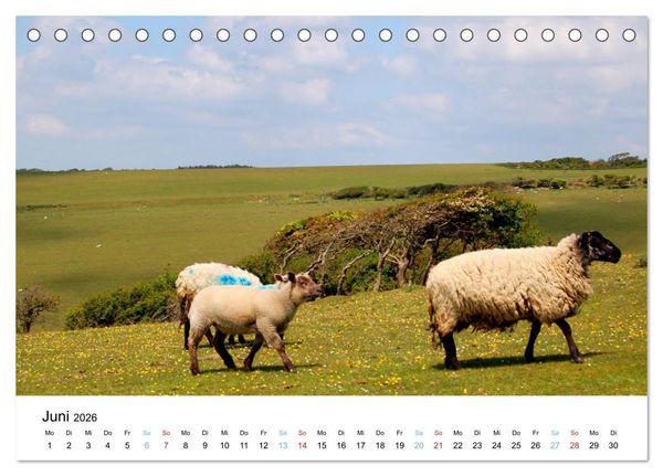 Produktbild: East Sussex (Tischkalender 2026 DIN A5 quer), CALVENDO Monatskalender