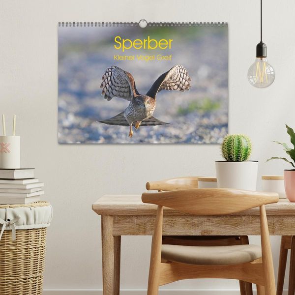 Produktbild: Sperber - Kleiner Vogel Greif (Wandkalender 2026 DIN A3 quer), CALVENDO Monatskalender