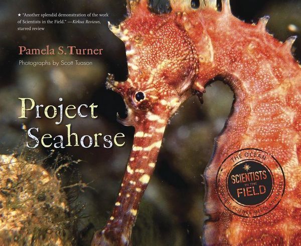 Produktbild: Project Seahorse