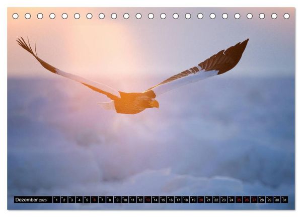 Produktbild: Japanische Vogelwelt im Winter (Tischkalender 2026 DIN A5 quer), CALVENDO Monatskalender