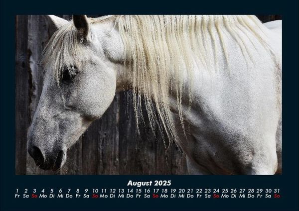 Produktbild: Pferdegefl&uuml;ster 2025 Fotokalender DIN A4
