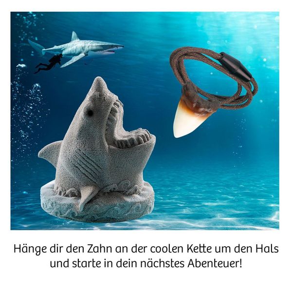 Produktbild: Ausgrabung Haizahn