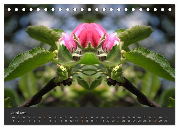 Produktbild: Spiegelwelten - Im Reich der Naturwesen (Tischkalender 2026 DIN A5 quer), CALVENDO Monatskalender