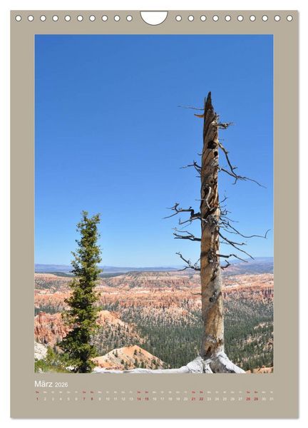 Produktbild: Erlebe mit mir den Bryce Canyon Nationalpark (Wandkalender 2026 DIN A4 hoch), CALVENDO Monatskalender