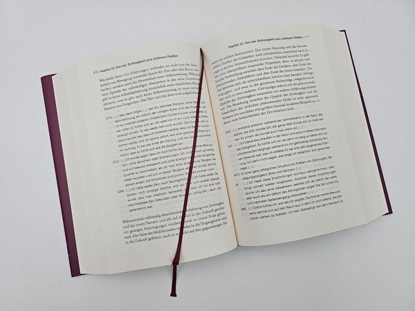 Der Elefant Und Die Blinden 'Der Elefant und die Blinden' von 'Thomas Metzinger' - Buch - '978-3