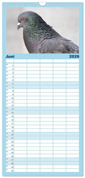 Produktbild: Familienplaner 2026 - Geliebte Tauben mit 5 Spalten (Wandkalender, 21 x 45 cm) CALVENDO