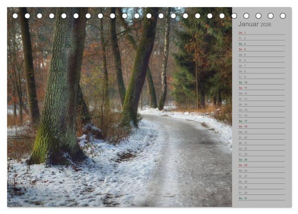 Produktbild: Planungskalender M&auml;rchenwald 2026 (Tischkalender 2026 DIN A5 quer), CALVENDO Monatskalender