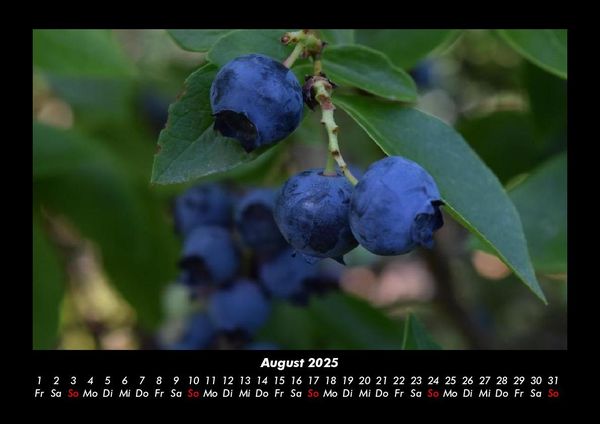 Produktbild: Obstkalender 2025 Fotokalender DIN A3