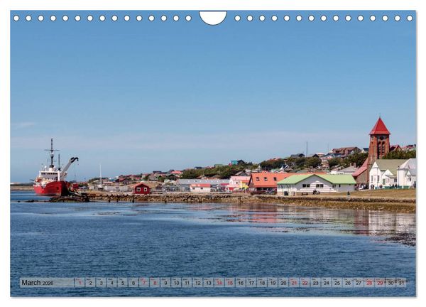 Produktbild: In the Falkland Islands (Wall Calendar 2026 DIN A4 landscape), CALVENDO 12 Month Wall Calendar