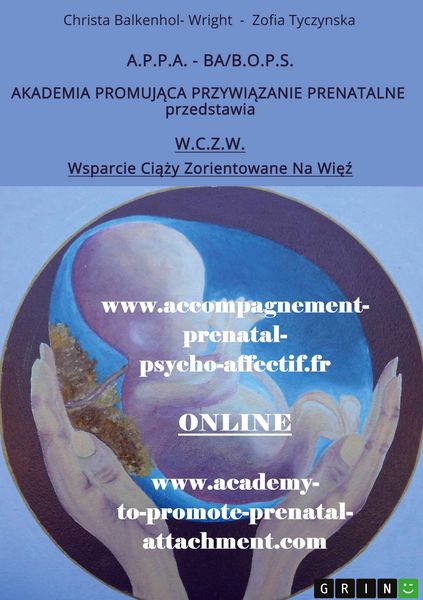 Produktbild: Wsparcie Ci&iquest;&iquest;y Zorientowane Na Wi&iquest;&iquest; (W.C.Z.W.)
