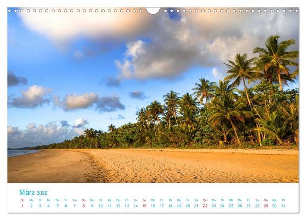 Produktbild: Unter Palmen 2026. Impressionen von den sch&ouml;nsten Str&auml;nden der Welt (Wandkalender 2026 DIN A3 quer), CALVENDO Monatskalender