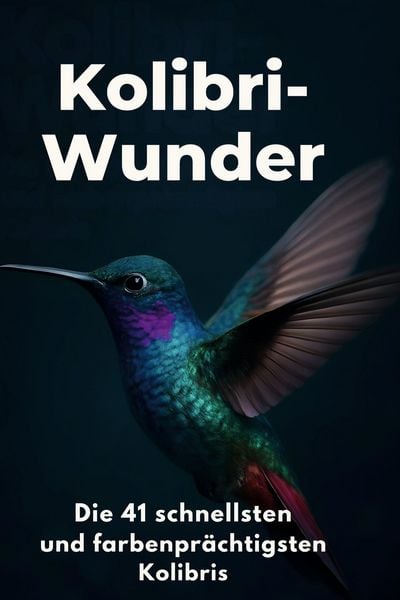 Produktbild: Kolibri-Wunder