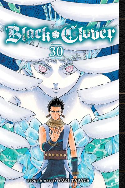 Produktbild: Black Clover, Vol. 30