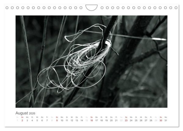 Produktbild: einfach schwarz-wei&szlig; (Wandkalender 2026 DIN A4 quer), CALVENDO Monatskalender