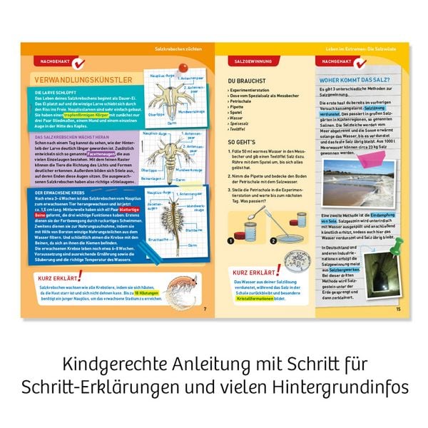 Produktbild: Salzkrebse