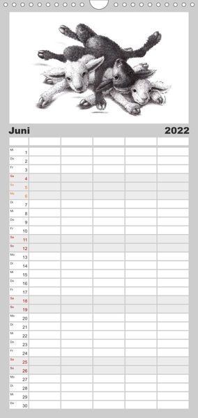 Produktbild: Familienplaner TIERONISCH (Wandkalender 2022 , 21 cm x 45 cm, hoch)