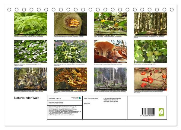 Produktbild: Naturwunder Wald (Tischkalender 2027 DIN A5 quer), CALVENDO Monatskalender