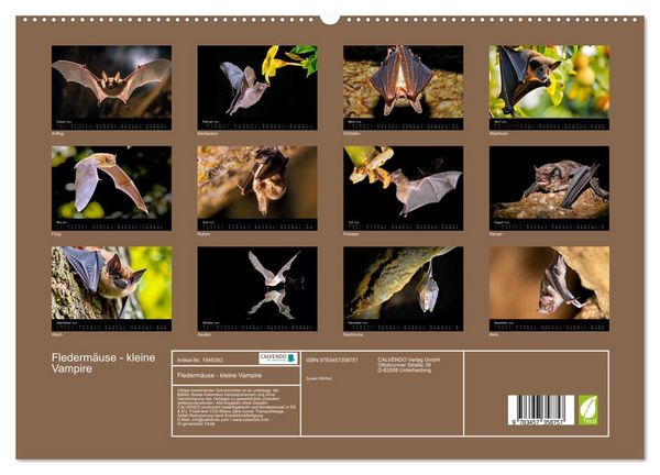 Produktbild: Flederm&auml;use - kleine Vampire (hochwertiger Premium Wandkalender 2026 DIN A2 quer), Kunstdruck in Hochglanz