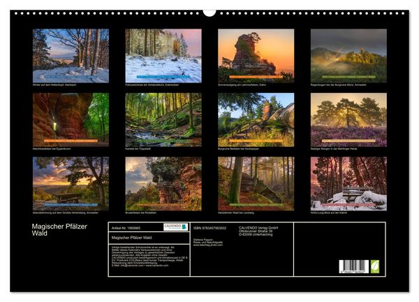 Produktbild: Magischer Pf&auml;lzer Wald (Wandkalender 2026 DIN A2 quer), CALVENDO Monatskalender
