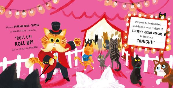 Produktbild: Cats in Chaos