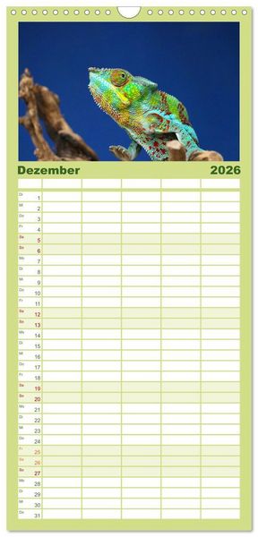 Produktbild: Familienplaner 2026 - Reptilien - Tierische Farbenpracht mit 5 Spalten (Wandkalender, 21 x 45 cm) CALVENDO