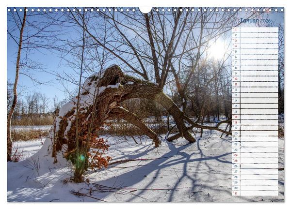 Produktbild: Zwischen Harz und Meer (Wandkalender 2026 DIN A3 quer), CALVENDO Monatskalender
