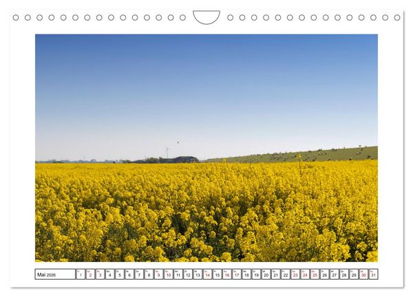 Produktbild: Verliebt in Norddeich (Wandkalender 2026 DIN A4 quer), CALVENDO Monatskalender